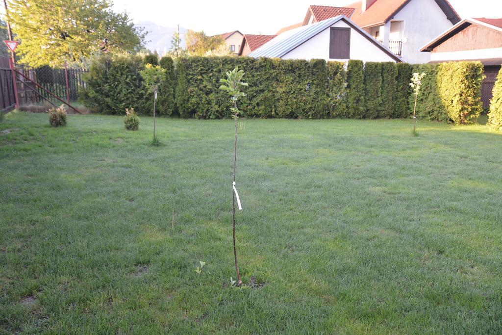 Privat Alexandra Appartement Liptovský Mikuláš Buitenkant foto